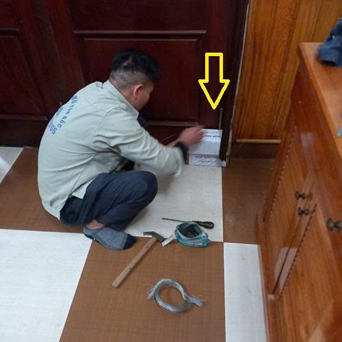 đặ hộp nhử mối